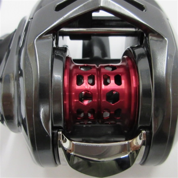 ２０アルファスＡＩＲ ＴＷ８．６　左